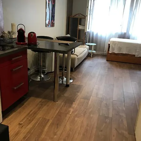 Coquet Studio Apartment *
